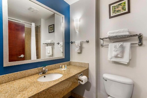 Comfort Suites Atlanta Airport - image 7