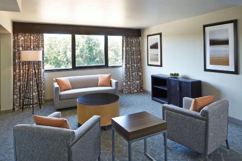 Doubletree By Hilton Atlanta Perimeter Dunwoody - image 19