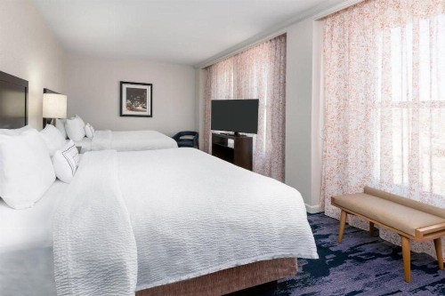Fairfield Inn & Suites by Marriott Atlanta Downtown - image 32