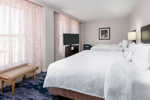 Fairfield Inn & Suites by Marriott Atlanta Downtown - image 9