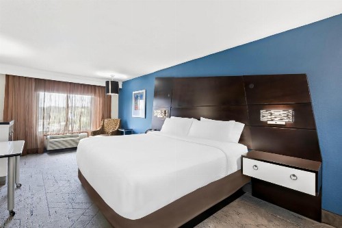 Holiday Inn Express Atlanta NW - Galleria Area an IHG Hotel - image 50