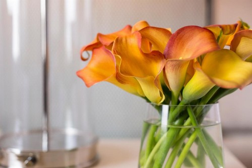 Four Seasons Hotel Atlanta - image 38
