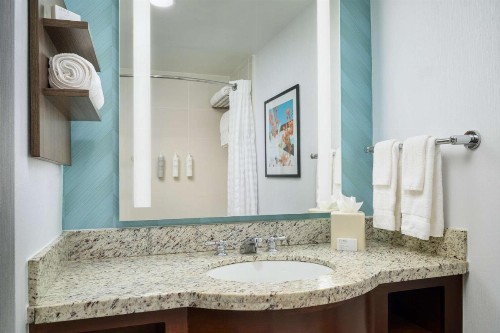 Hilton Garden Inn Atlanta Midtown - image 10