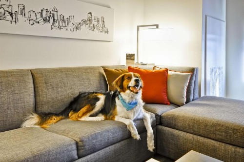 Hyatt House Atlanta Cobb Galleria - image 16