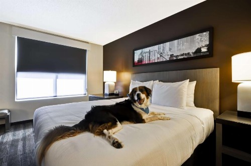 Hyatt House Atlanta Cobb Galleria - image 4