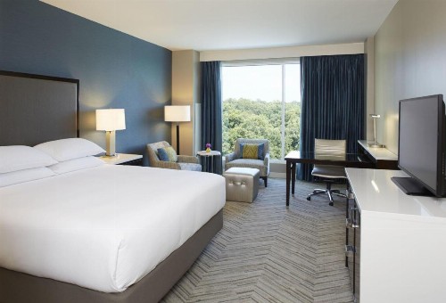 Hyatt Regency Atlanta Perimeter at Villa Christina - image 23