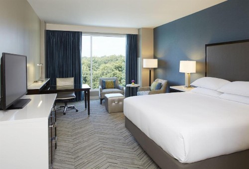 Hyatt Regency Atlanta Perimeter at Villa Christina - image 38