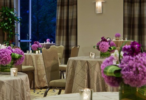 Hyatt Regency Atlanta Perimeter at Villa Christina - image 48