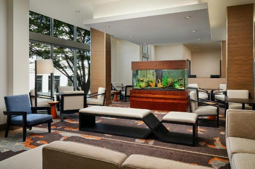 Hyatt House Atlanta Downtown - image 10