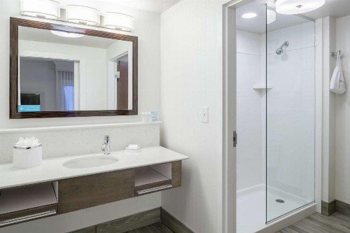 Hampton Inn & Suites by Hilton Atlanta Perimeter Dunwoody - image 12