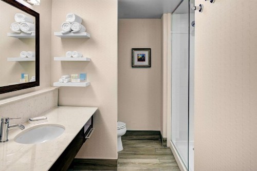 Hampton Inn & Suites by Hilton Atlanta Perimeter Dunwoody - image 30