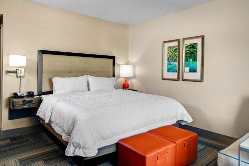 Hampton Inn & Suites by Hilton Atlanta Perimeter Dunwoody - image 33