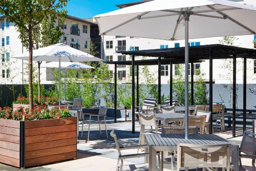 AC Hotel by Marriott Atlanta Buckhead at Phipps Plaza - image 20