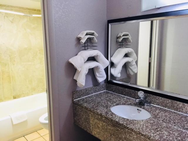 Fulton Inn - image 4