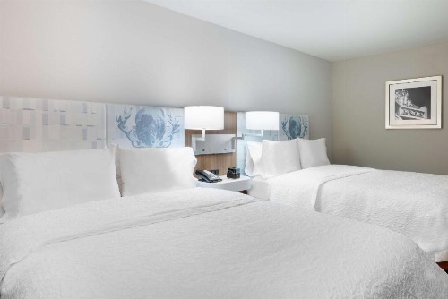 Hampton Inn & Suites Atlanta Buckhead Place - image 20