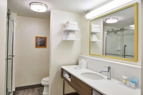Hampton Inn & Suites Atlanta-Midtown Ga - image 23