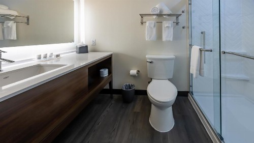 Holiday Inn & Suites - Atlanta N - Chamblee Dunwoody  an IHG Hotel - image 13
