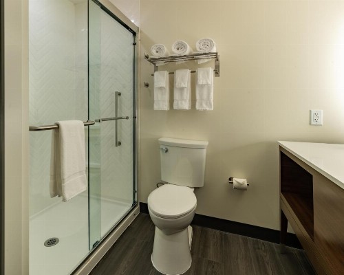 Holiday Inn & Suites - Atlanta N - Chamblee Dunwoody  an IHG Hotel - image 9