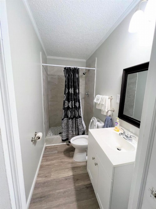 Sand Dollar Motel - image 25