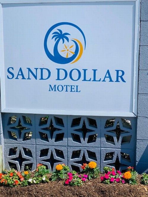 Sand Dollar Motel - image 7
