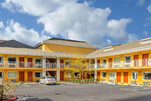 Quality Inn Flamingo - image 3