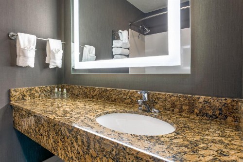 Holiday Inn Auburn an IHG Hotel - image 21