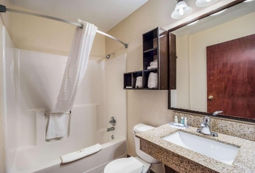 Quality Inn & Suites - image 40
