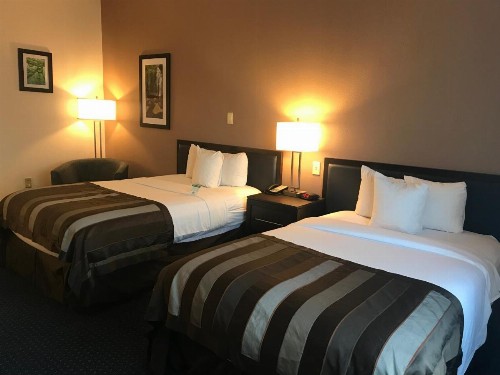 Wingate by Wyndham Augusta/Fort Gordon - image 13