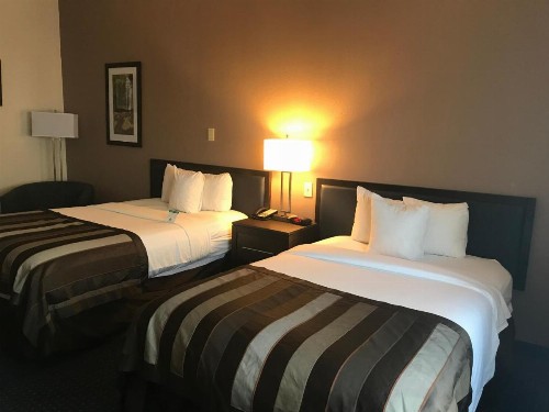 Wingate by Wyndham Augusta/Fort Gordon - image 16