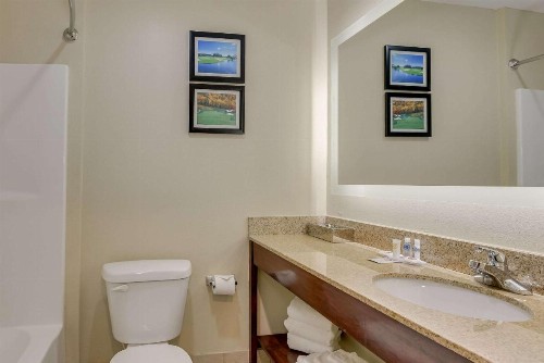 Comfort Inn & Suites Gordon Hwy - image 28