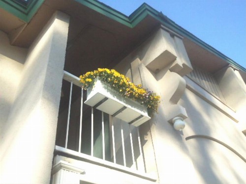 West Bank Inn - image 6