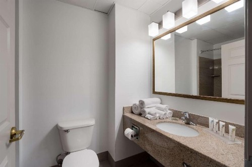 Country Inn & Suites by Radisson Augusta at I-20 GA - image 29