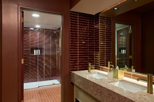 Sheraton Austin Hotel at the Capitol - image 20