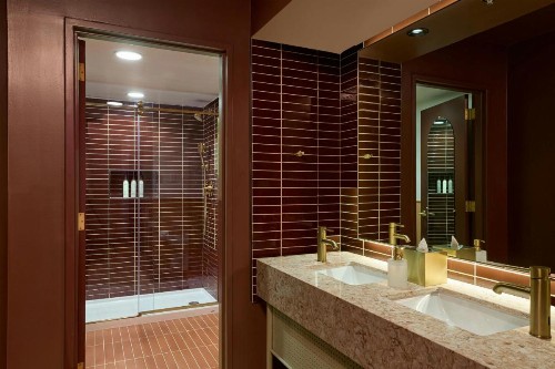 Sheraton Austin Hotel at the Capitol - image 42