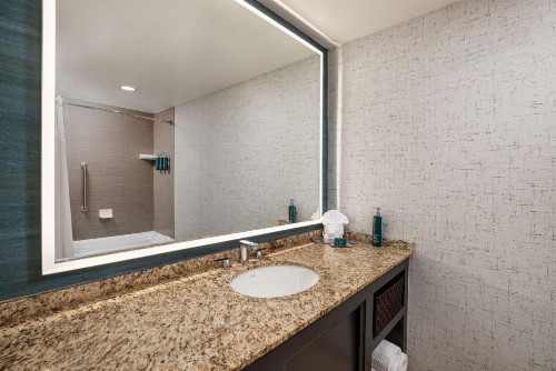 DoubleTree Suites by Hilton Austin - image 14