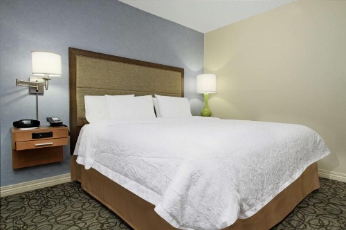 Hampton Inn Austin-South - I-35 & Ben White - image 21