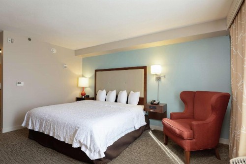 Hampton Inn & Suites-Austin Airport - image 20