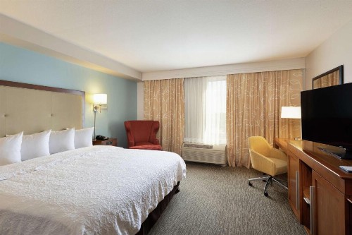 Hampton Inn & Suites-Austin Airport - image 27