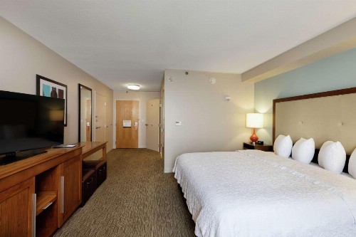 Hampton Inn & Suites-Austin Airport - image 33