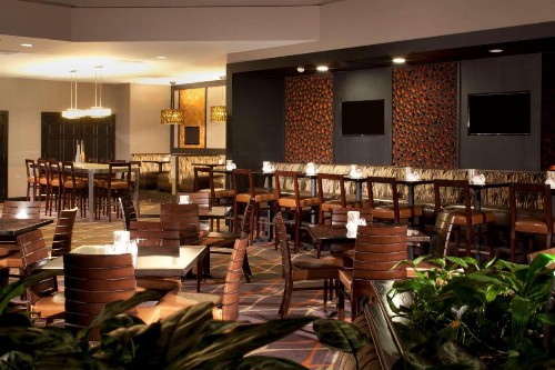 Embassy Suites by Hilton Austin Arboretum - image 10