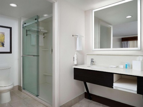 Hampton Inn & Suites Austin-Downtown/Convention Center - image 50