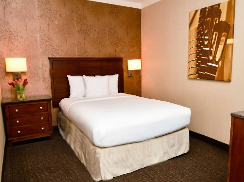 Embassy Suites by Hilton Austin Downtown South Congress - image 18