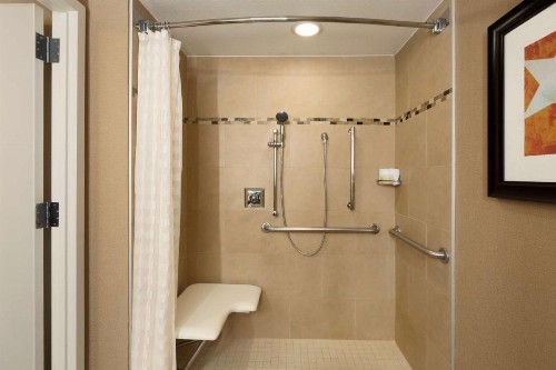 Embassy Suites by Hilton Austin Downtown South Congress - image 29