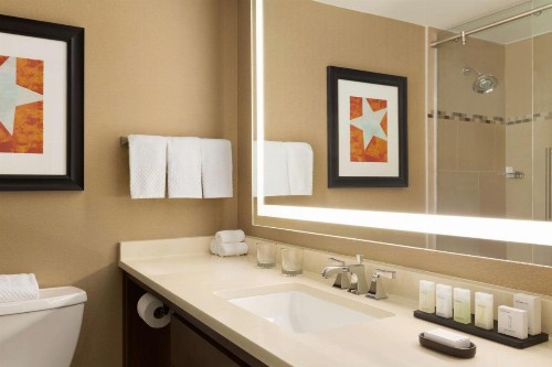 Embassy Suites by Hilton Austin Downtown South Congress - image 31