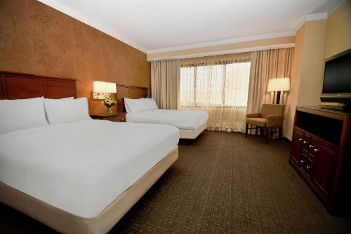 Embassy Suites by Hilton Austin Downtown South Congress - image 46