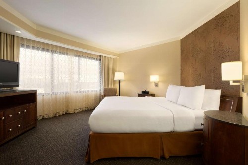 Embassy Suites by Hilton Austin Downtown South Congress - image 50