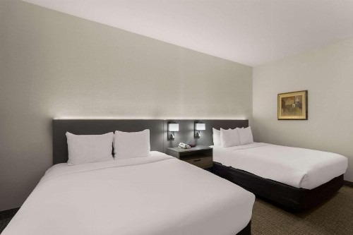 Comfort Inn & Suites - image 7