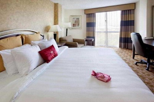 Radisson Hotel Austin - image 17
