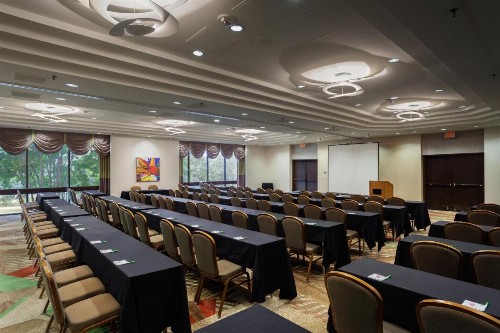 Holiday Inn Austin -Town Lake an IHG Hotel - image 15