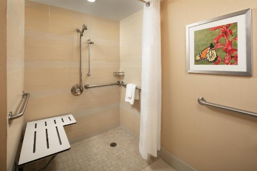 Holiday Inn Austin -Town Lake an IHG Hotel - image 19